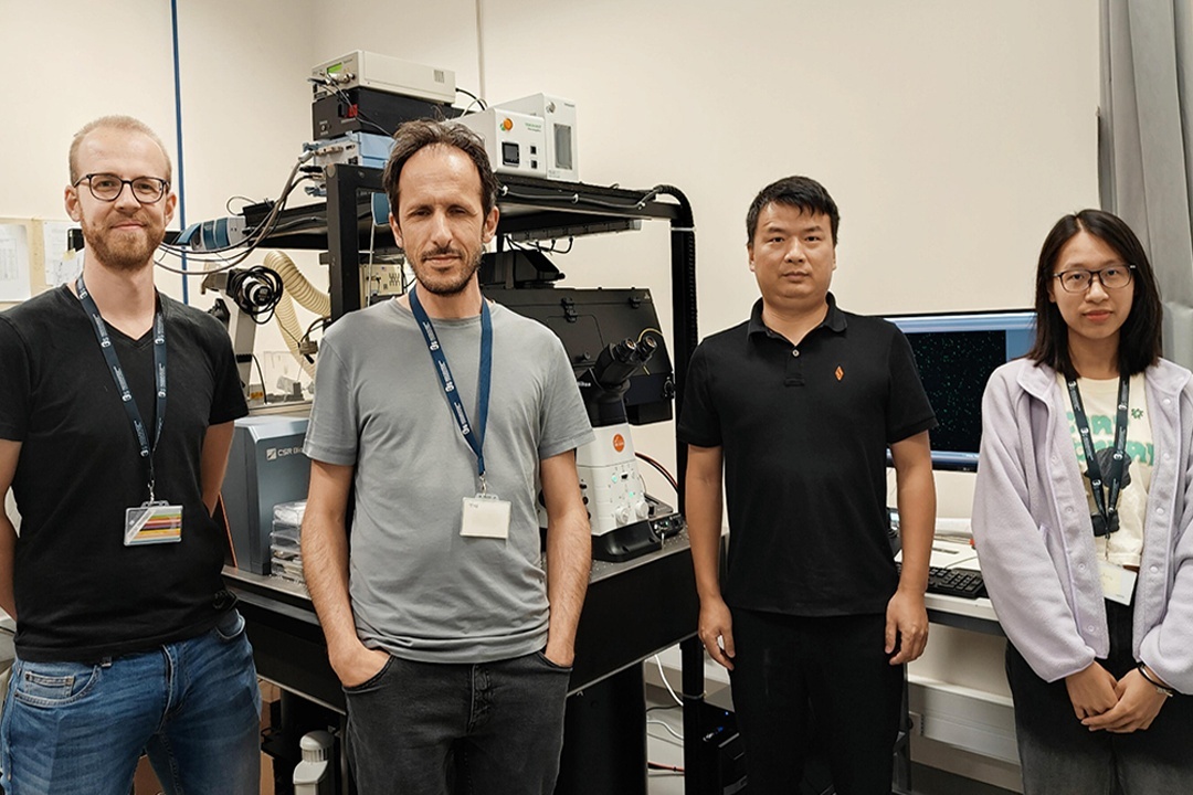 CSRBiotech's tweet image. Today we announced CSR Biotech’s first European centre of excellence at @i3S_UPorto , Portugal 🇵🇹 together with the i3S Director, Prof. @claudio_sunkel  🎉
Special thanks to Dr. @pm_sampaio , Dr. Helder Maiato, and Dr. Antonio Jose Pereira for their ongoing support.
#microscopy