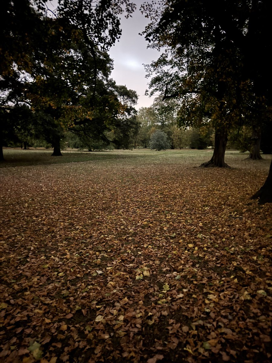 ManuelGiudiceTC's tweet image. Confidence comes from familiarity in pattern recognition.

You might not know the details but you recognise the patterns.

#LeadershipInsights #OrganizationalDevelopment #FutureOfWork