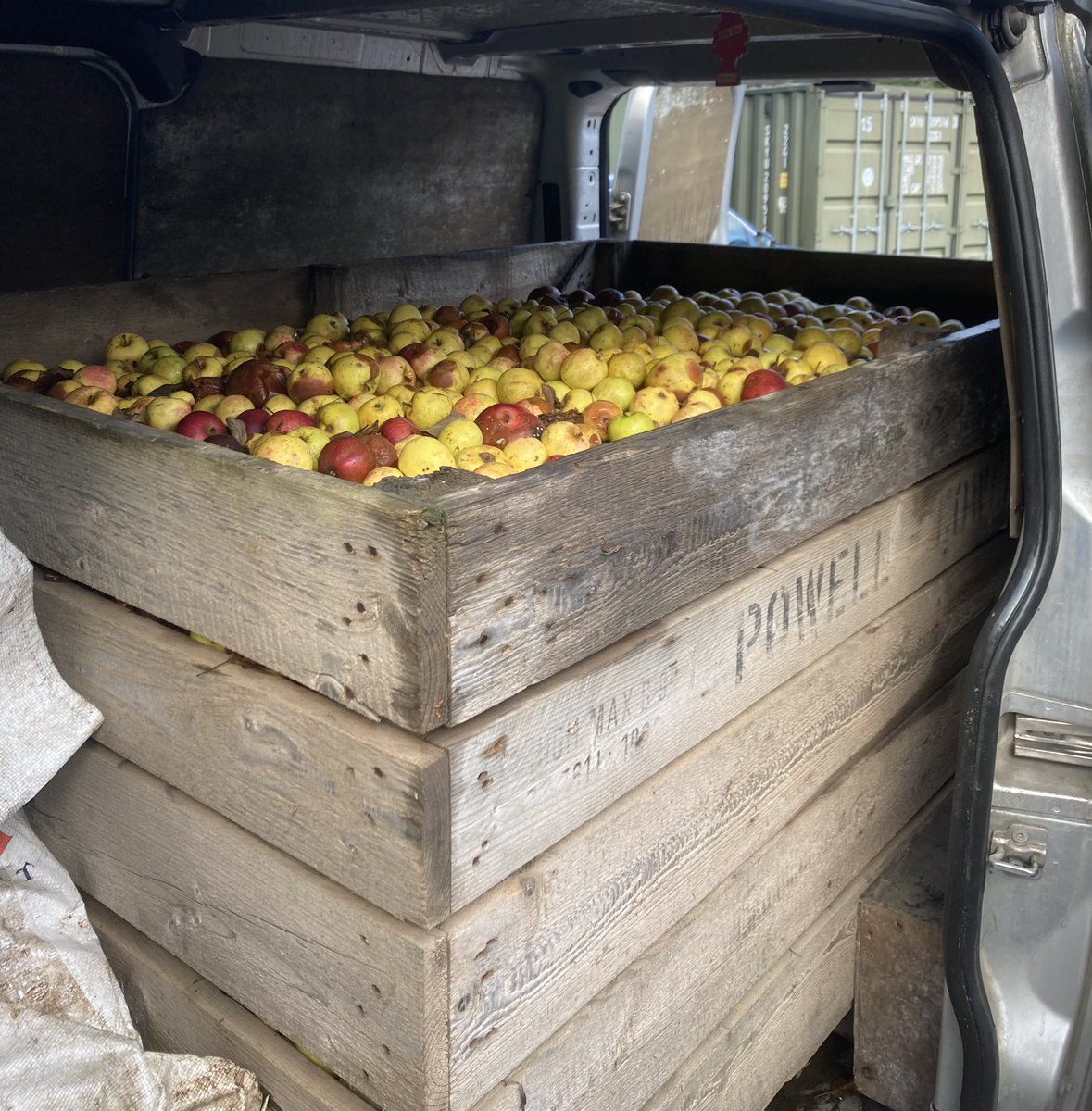 tuttsclumpcider's tweet image. Another busy day ahead 🍏🍎 #apples #pressing #propercider #thursday