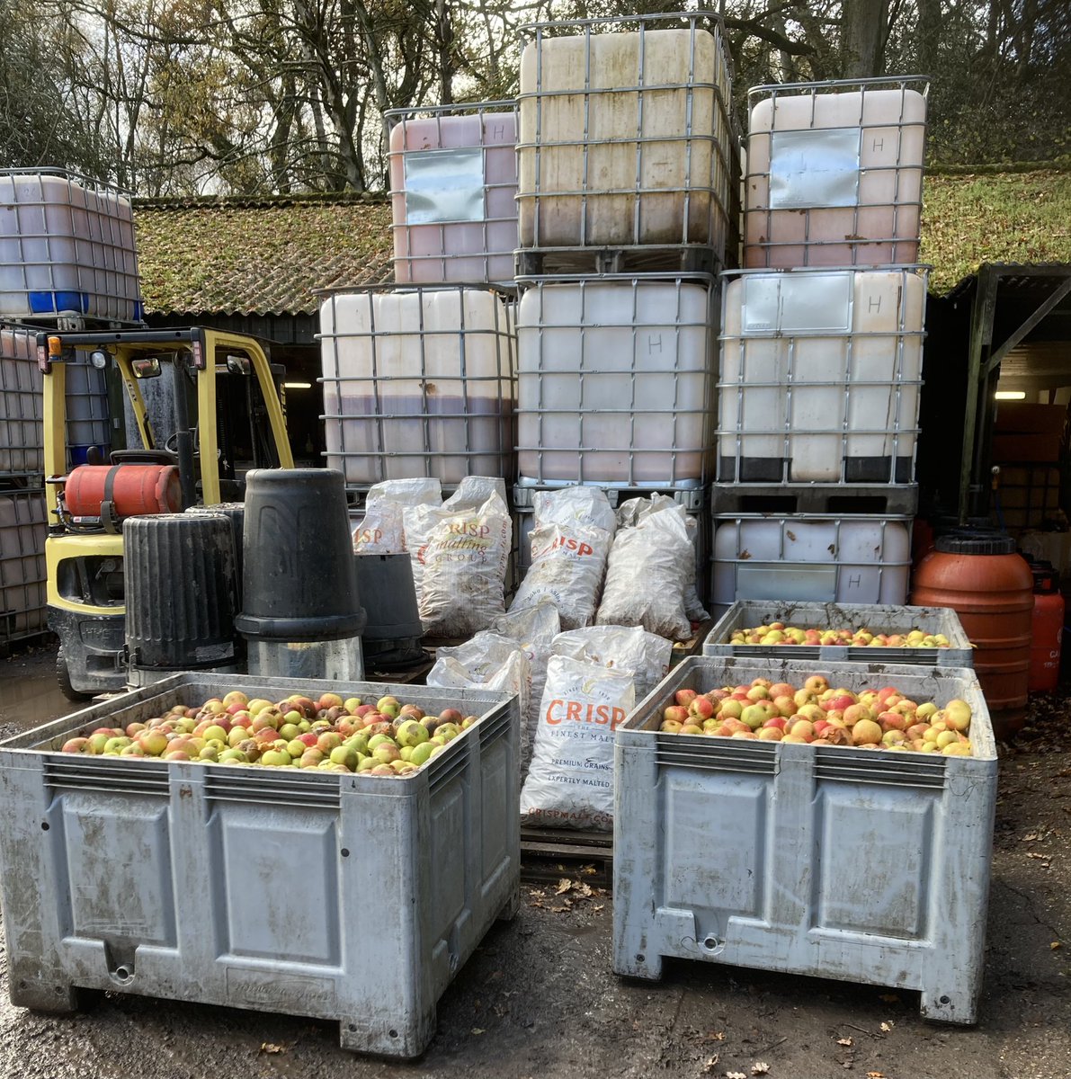 tuttsclumpcider's tweet image. Another busy day ahead 🍏🍎 #apples #pressing #propercider #thursday