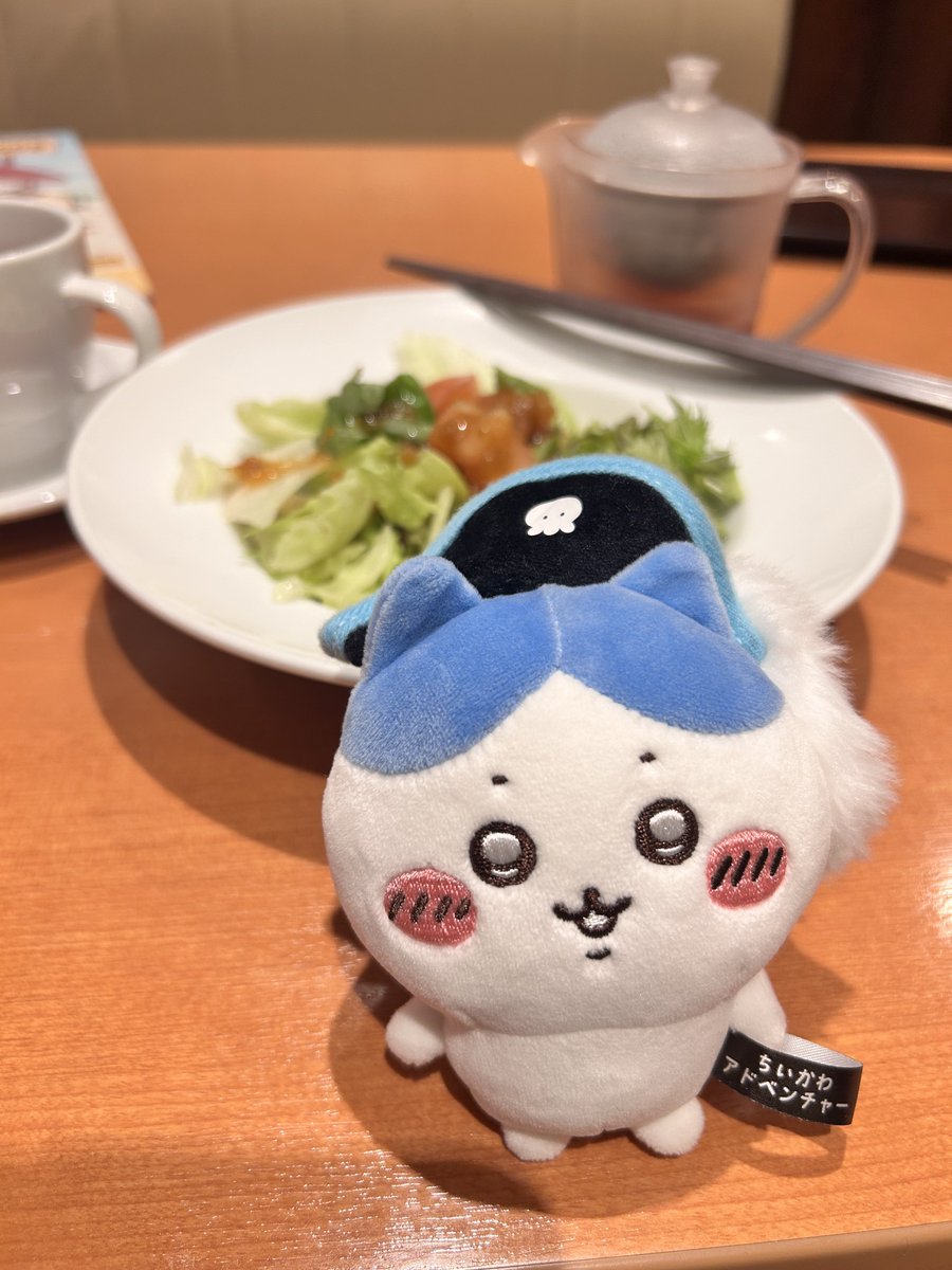 カメコ (@kameco713) / Posts / X