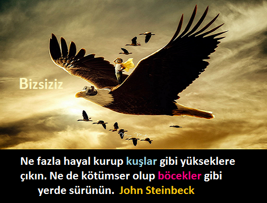 BizsizizBilim's tweet image. #johnsteinberk #kuşlar #böcekler #fazlahayal #hayalkurmak #kötümserlik #yerdesürünmek