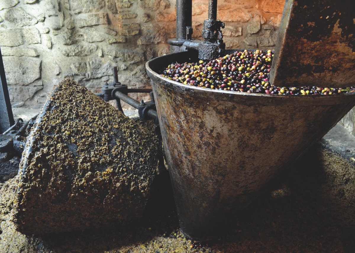 🏛️🌿 El 22 de noviembre, ponemos el broche final a las rutas patrimoniales con una visita muy especial a Lanciego.

Una cita para disfrutar del arte, la historia y la esencia de nuestros pueblos.

#RiojaAlavesa #VisitRiojaAlavesa #RutaPatrimonial #Lanciego #Cultura #Patrimonio