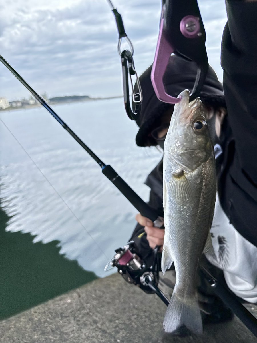 釣り人達(相模川) 相模川ランガンバス釣りツアー | おっさんアングラー哲の釣行記