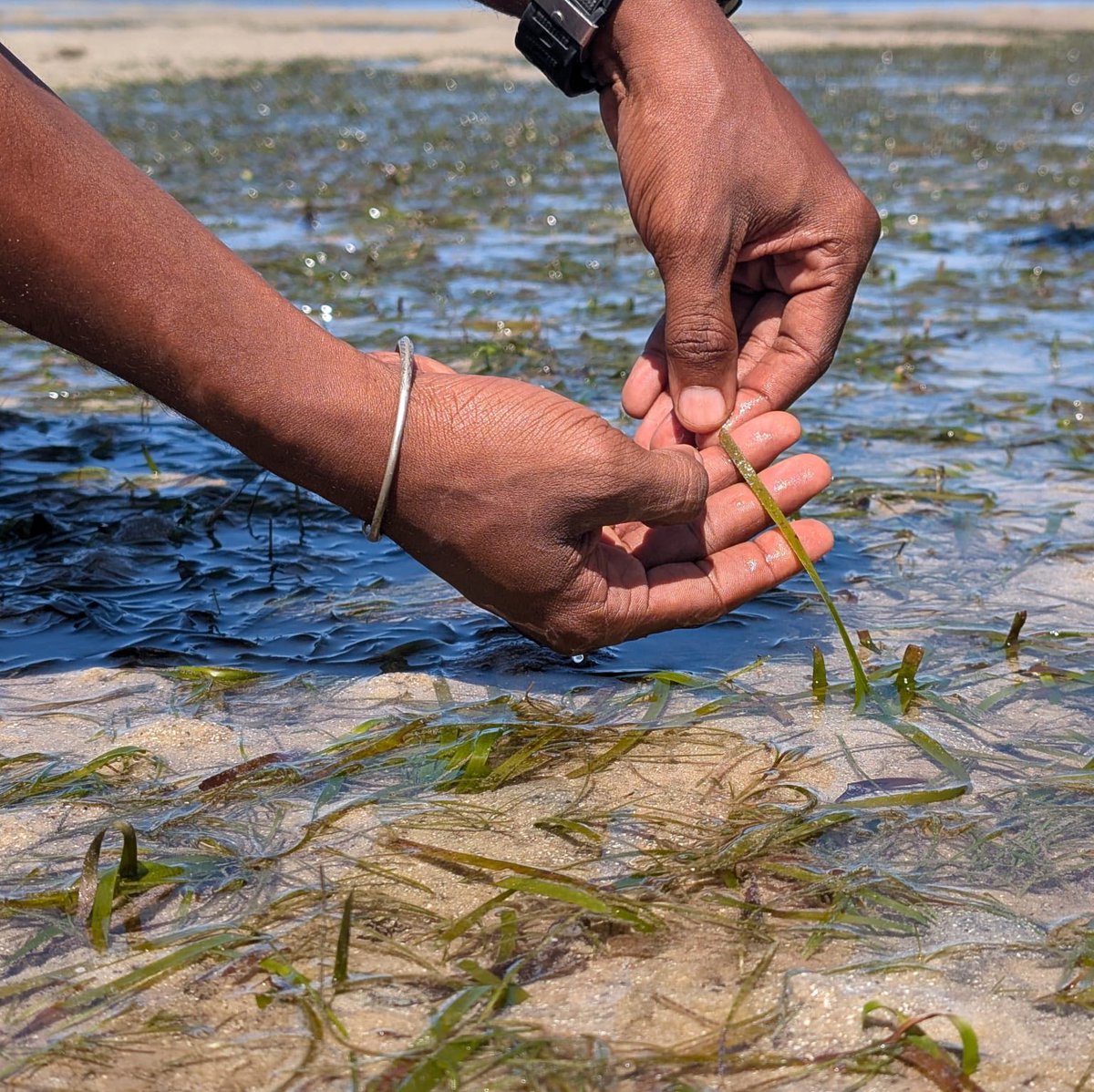 UK in Madagascar tweet media