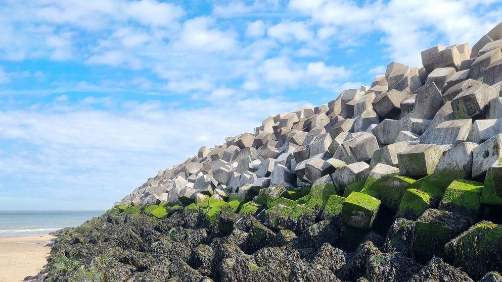 Royal BAM Group tweet media