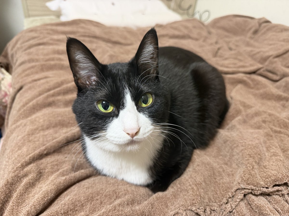 三好 (@miyoshiiii) / Posts / X