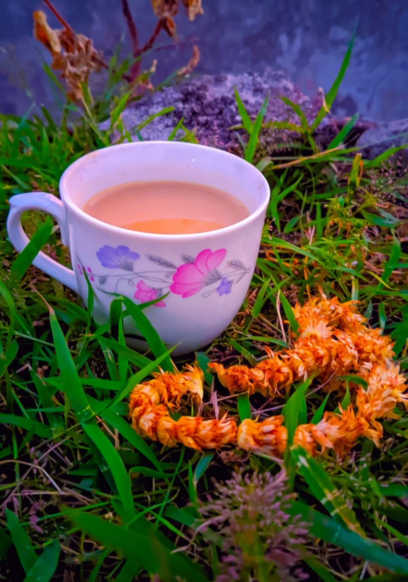 Raima__nor's tweet image. বিকেল মানে শুধু সময় নয়, প্রকৃতির একটা মায়াবী রঙ — যা মনকে ছুঁয়ে যায় নরম বাতাসে।