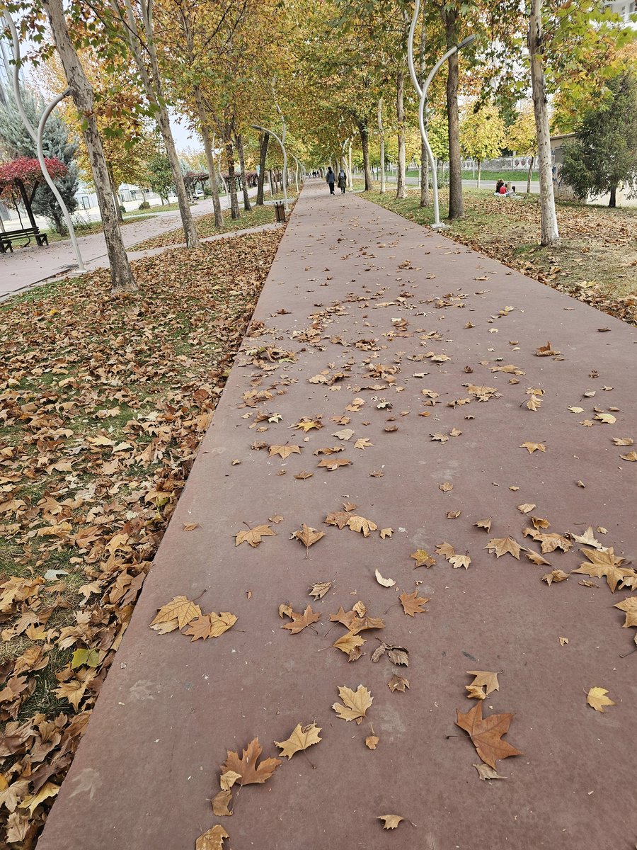 Sonbahar yaprakları gibiyim ha düştüm ha düşeceğim...

#StajyerÇırağaYarımSigortaOlmaz