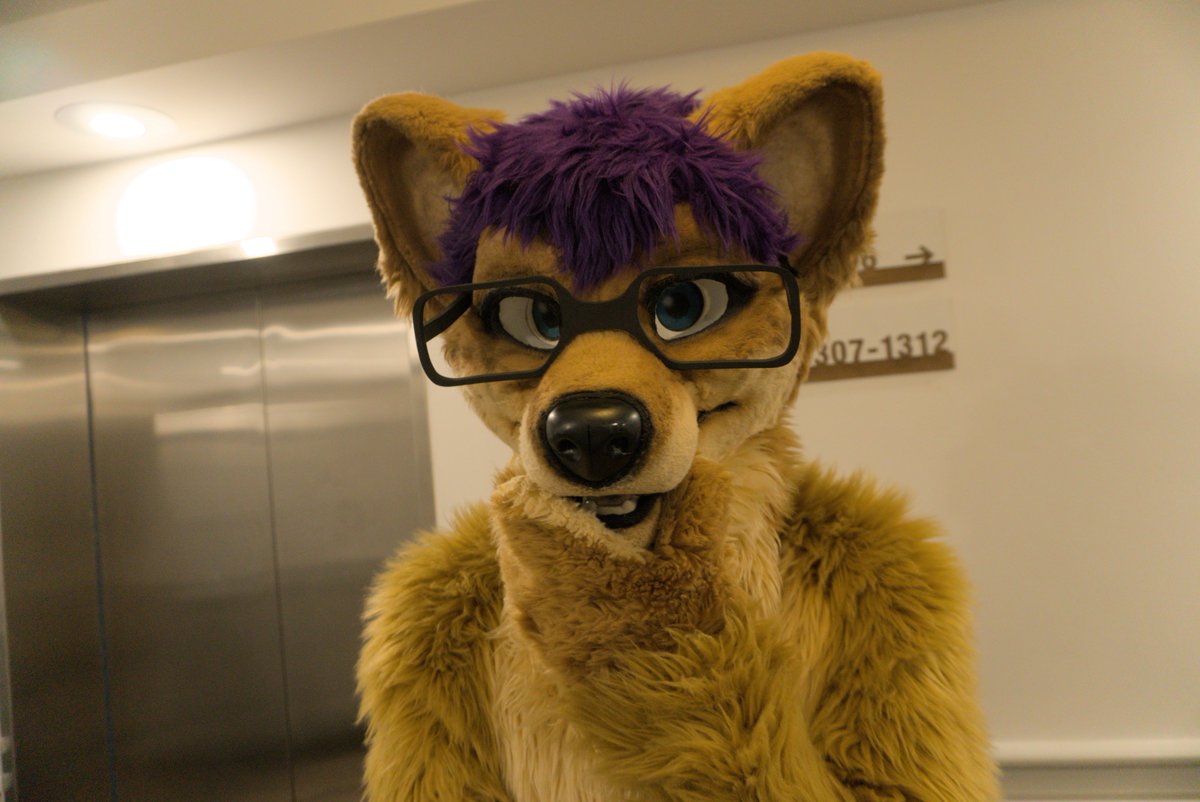 Kal Dingo tweet media