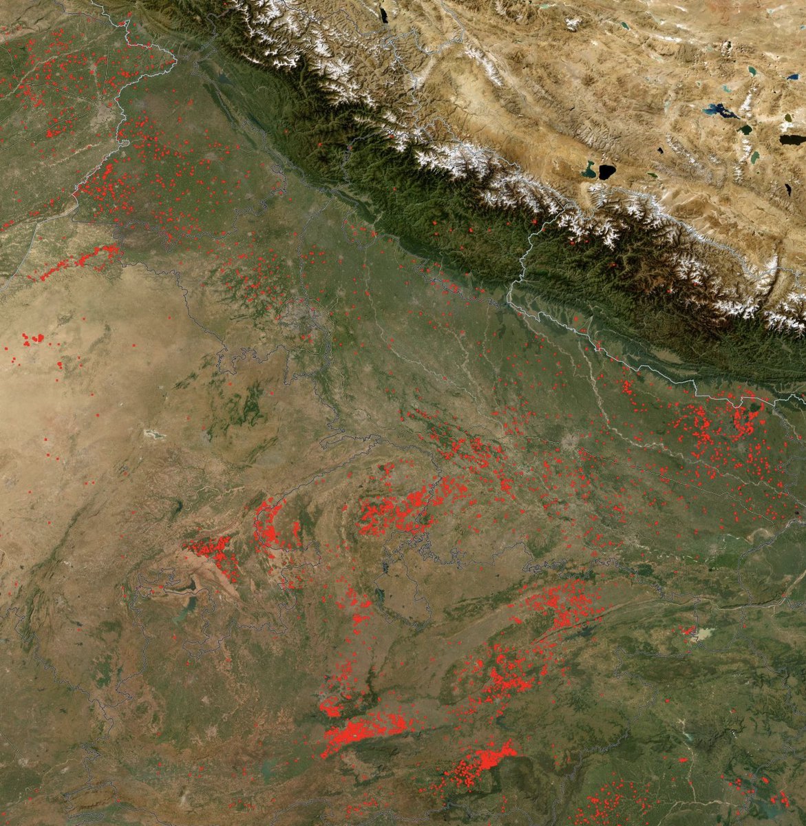 Stubble fires in last 24 hours.

The dense red dots in MP &amp; UP are ‘sanskari’ fires and produce oxygen … hence sanghis have no issues with them.

<a href="/gupta_rekha/">Rekha Gupta</a> <a href="/mssirsa/">Manjinder Singh Sirsa</a>