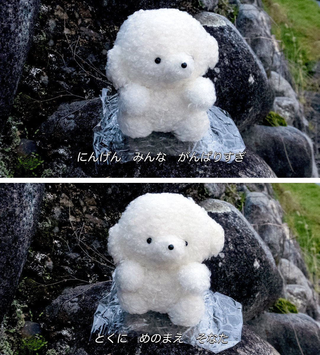 josemaru_model's tweet image. 