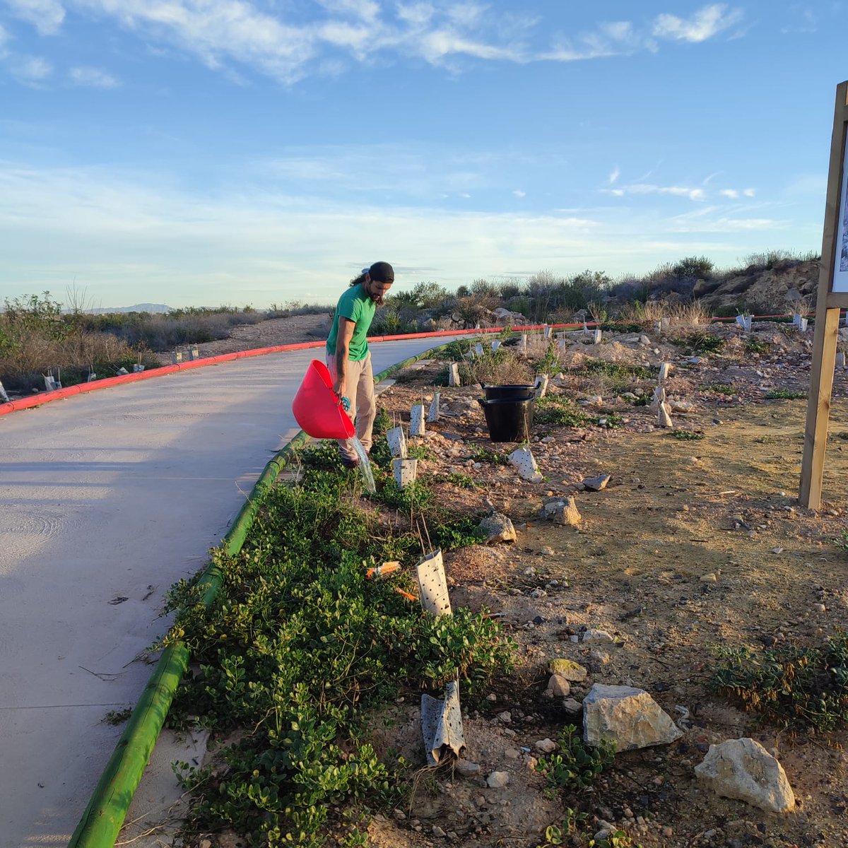 BosqueRomano's tweet photo. 🌱La semana pasada, técnicos de ANSE llevaron a cabo limpiezas en la zona del sendero del Ecoparque y San José Obrero.

#bosqueromano @AytoCartagenaES @CETENMA  @ARBACartagena  #ProyectosPRTR #PlandeRecuperacion #NextGenerationEU https://t.co/IKsIspqGFU