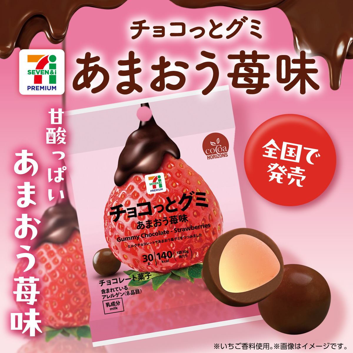 プロテイン WITH チョコ味いちご味