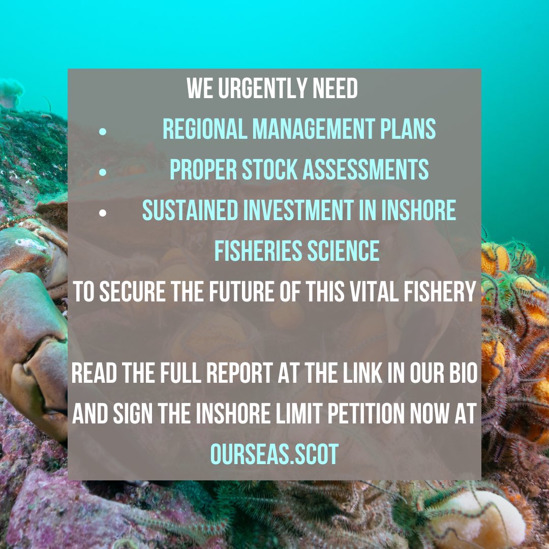 ourseas_scot's tweet photo. We urgently need regional management plans, proper stock assessments, and sustained investment in inshore fisheries science to secure the future of this vital fishery.

Sign the #InshoreLimit petition at https://t.co/7pj975wQwu https://t.co/qiPW8goQQY