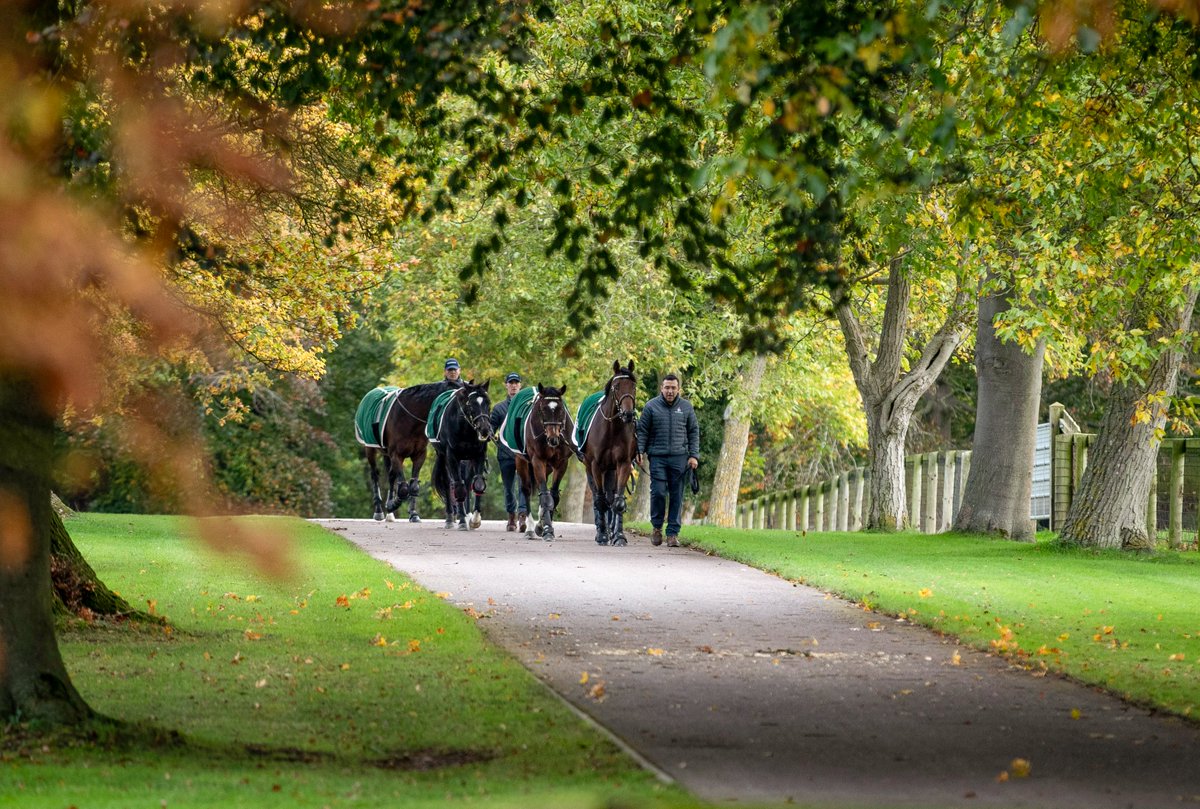 Juddmonte tweet media