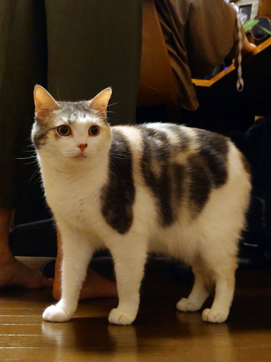 じーすけ (@1331G) / Posts and Replies / X