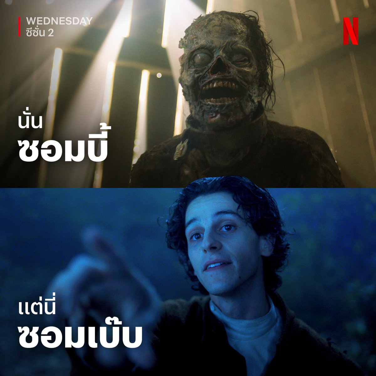 ꒰ 🟢 พร้อมส่งตอบไว ꒱ หาร netflix 🧺 tweet media