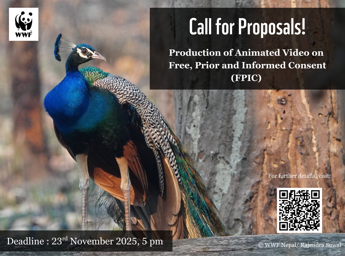 WWFNepal's tweet image. OPPORTUNITY!!
WWF Nepal is looking for a creative and experienced consultant to produce a 4 – 5 minute animated video on FPIC and its processes in Nepal. 
Help us share knowledge, protect rights, and empower communities!
For more details visit: wwfnepal.org/get_involved/c…