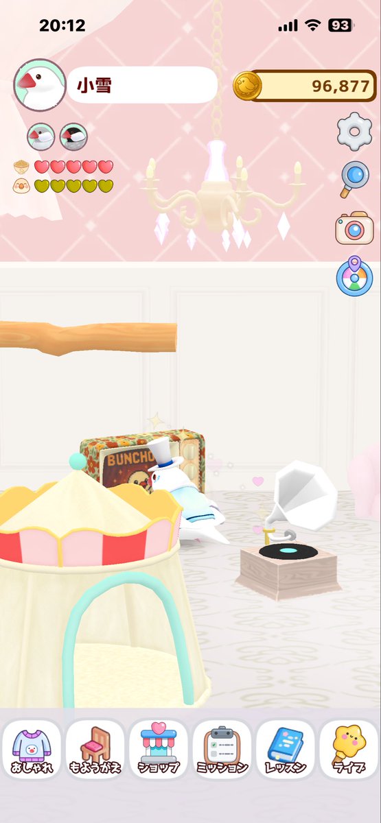 ピーちゃん ピーちゃん (@BuraH1JzuQ73wHB) / Posts / X