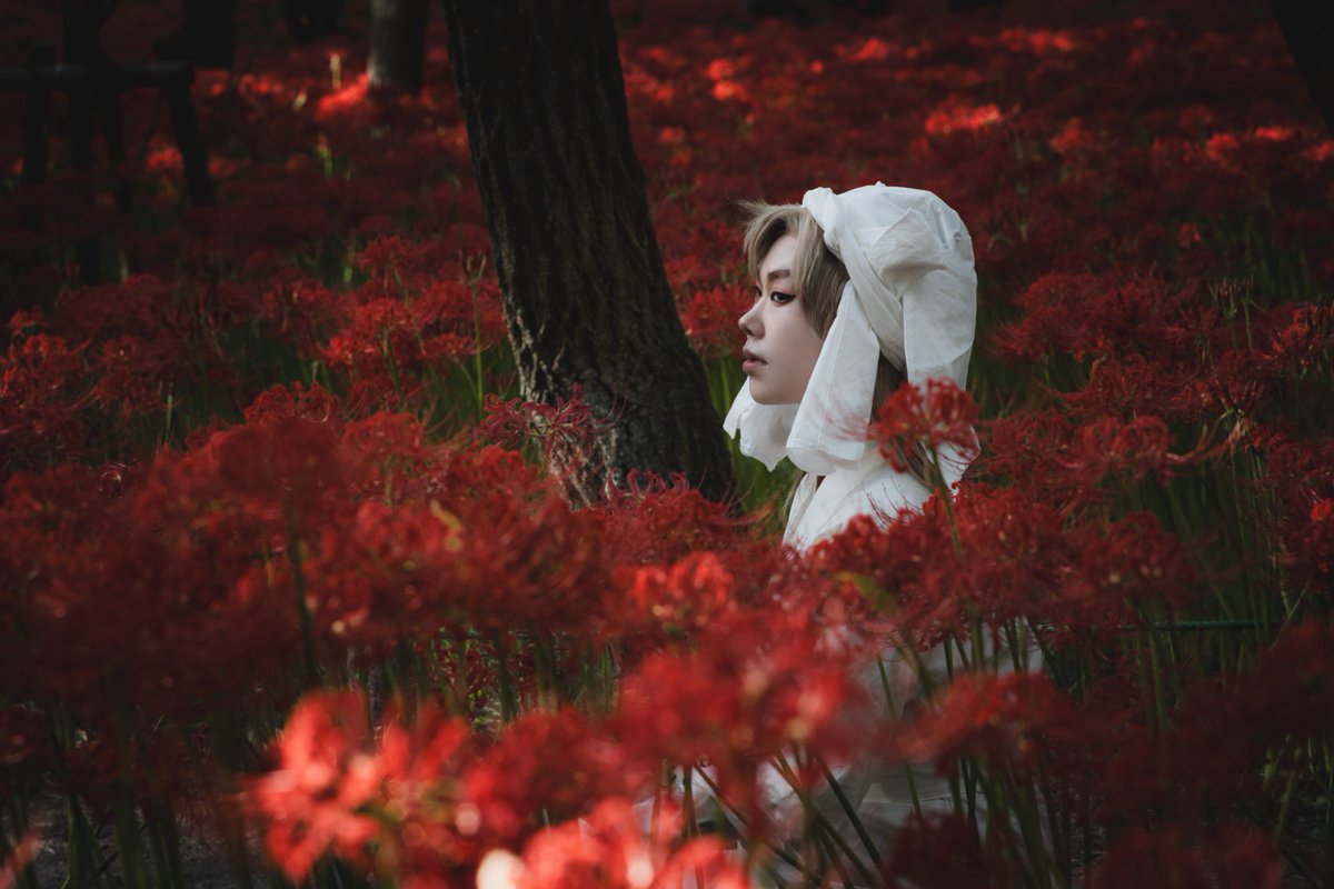 Cos / 忍たま

彼岸のほとりにて

善法寺伊作 : 兎原
Photo : へい
#兎原Photo