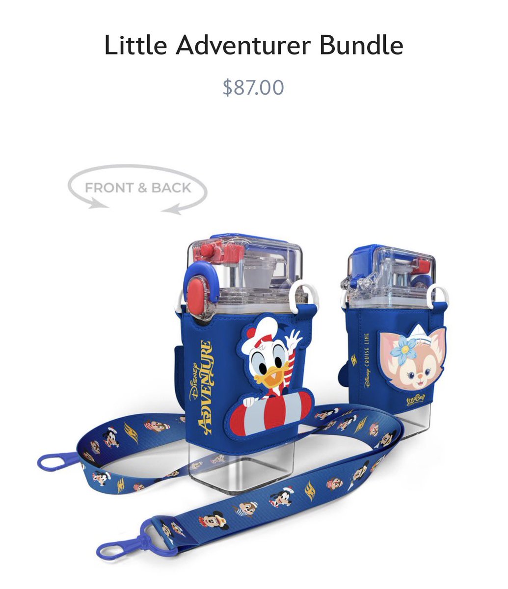 ディズニークルーズ