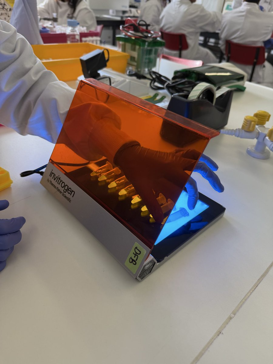 Dr. Ksenia Klimova tweet media