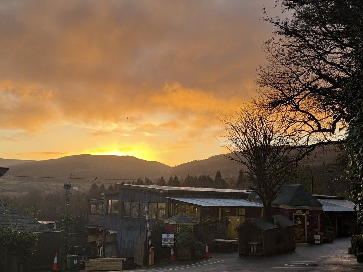 The sun rising behind <a href="/Timbertrove/">Timbertrove</a> this morning. #sunrise #Dublin  #thursdayvibes