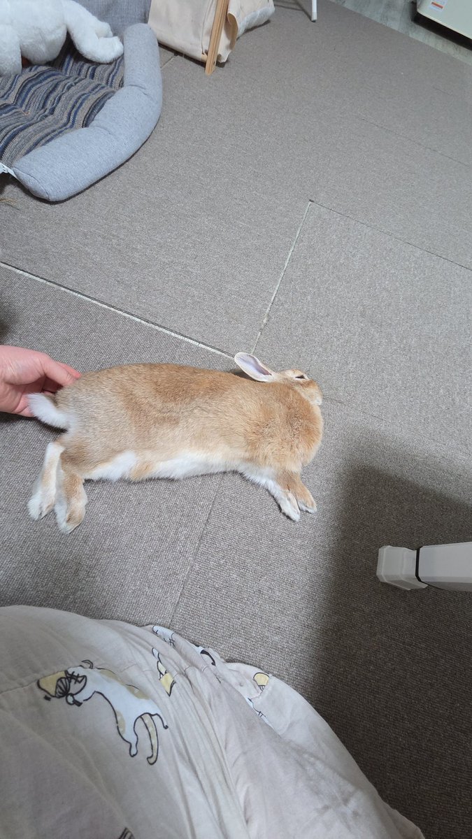 제가 좀 구워봤어요