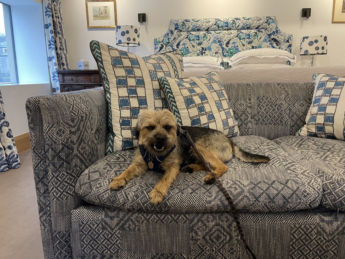 HomesChristineH's tweet image. Before the madness of Advent kicks in we’ve come away for a few days to one of the most dog friendly places we’ve ever stayed…it’s 💯% pal friendly ⁦@INNATWHITEWELL⁩ ⁦@revdlouisjj⁩ #Benedict #BTPosse