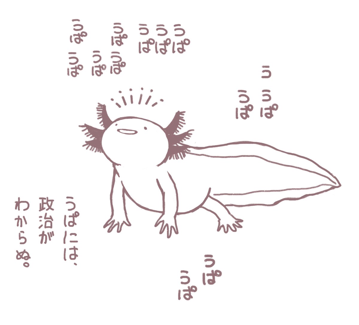 ウーパールーパー様 ウーパールーパースーパーカーオンチーヨ / ぷにおもちSHOP