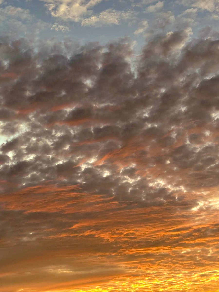 [稼働] 限定250本 Knot sunset 夕霧 美品 夕霧 – Maker's Watch Knot