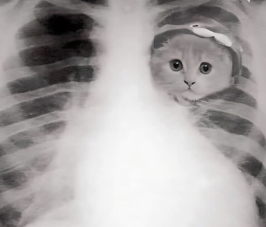 _m09e's tweet image. الحمدلله يآرب كلو واحد فيناً عارف فين مكانواً أنا وهواً (عالقين بين الأضلاع مستتؤووتنين في القلبين)🫂♥️✨