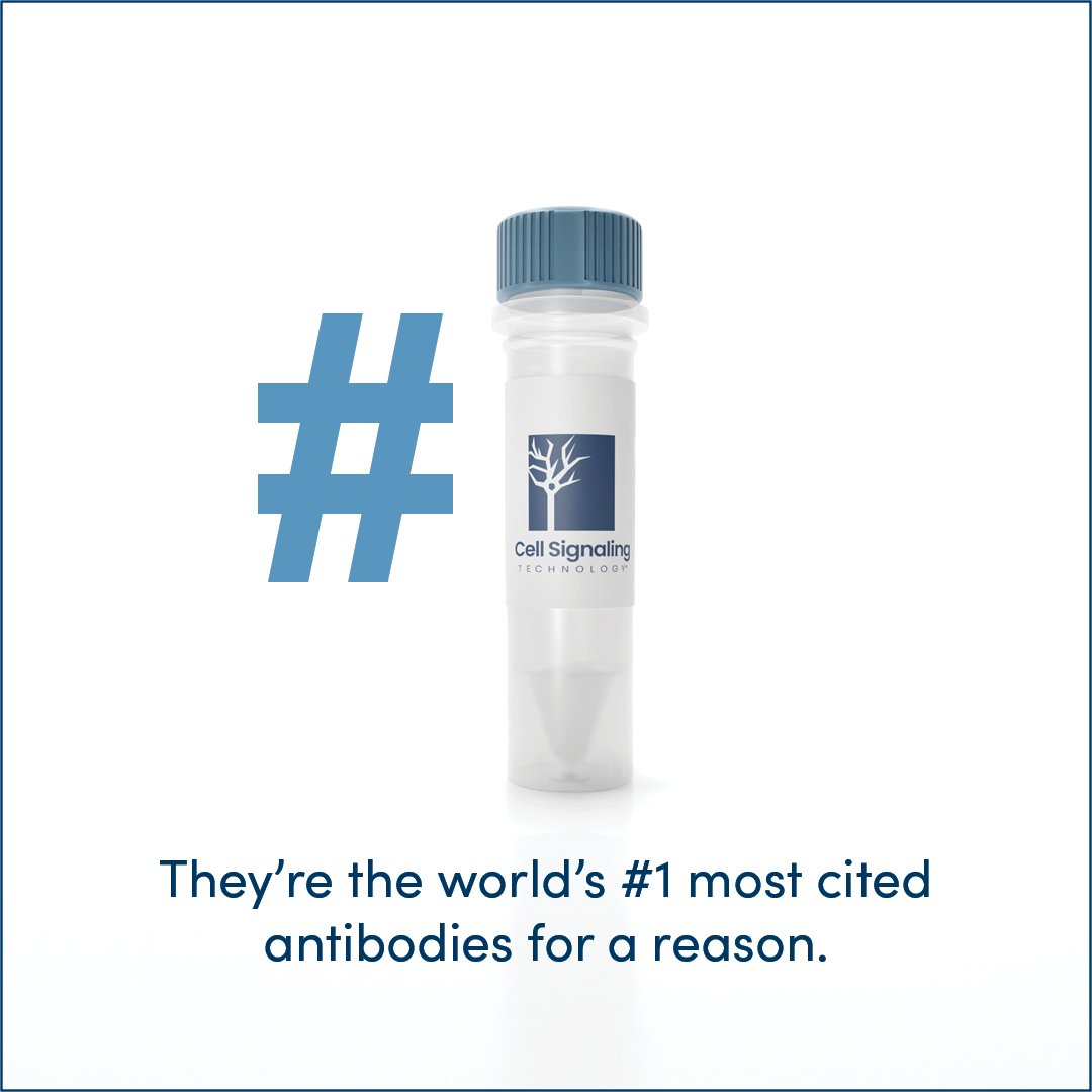 CellSignal's tweet image. Well, not just *a* reason…

🧪 Unsurpassed specificity
🧪 Unparalleled consistency
🧪 Unmatched data quality
🧪 Faster time to results
🧪 Reliable performance

Discover the CST difference: hubs.ly/Q03JCQLz0