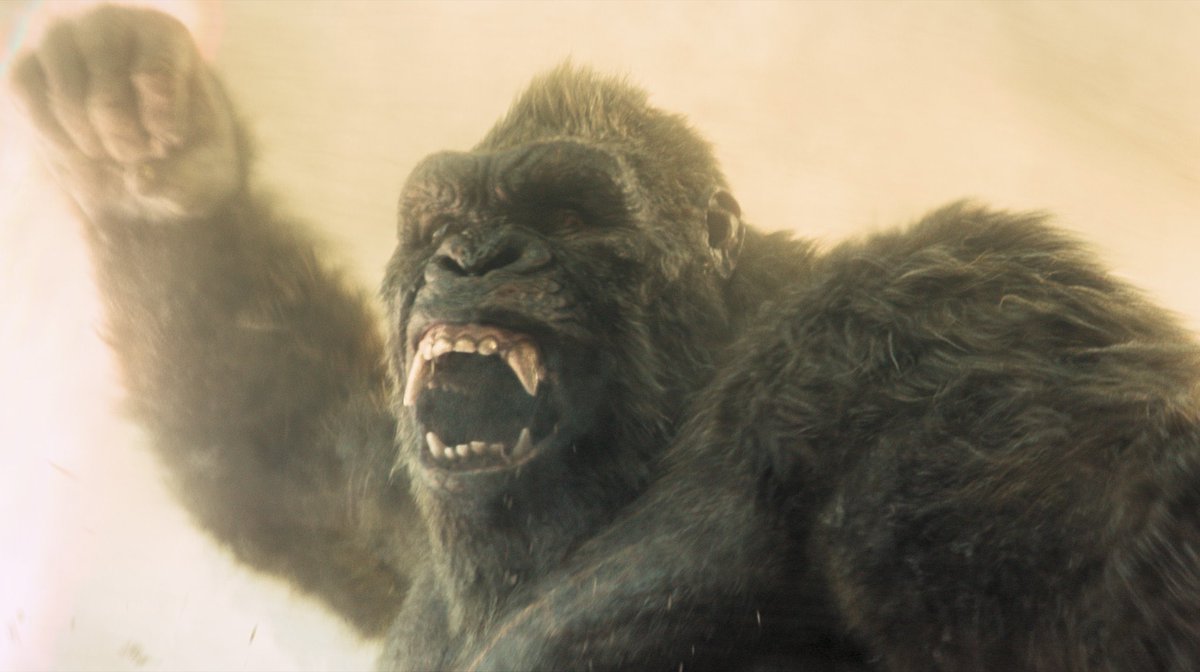 DiscussingFilm's tweet image. First look at Kong in ‘MONARCH: LEGACY OF MONSTERS’ Season 2.