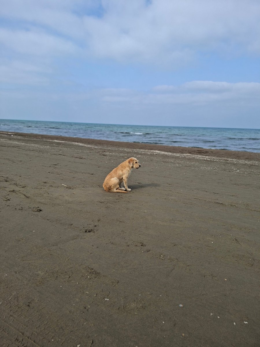 mstmoj's tweet image. آسمون و دریا
ترکیب برنده