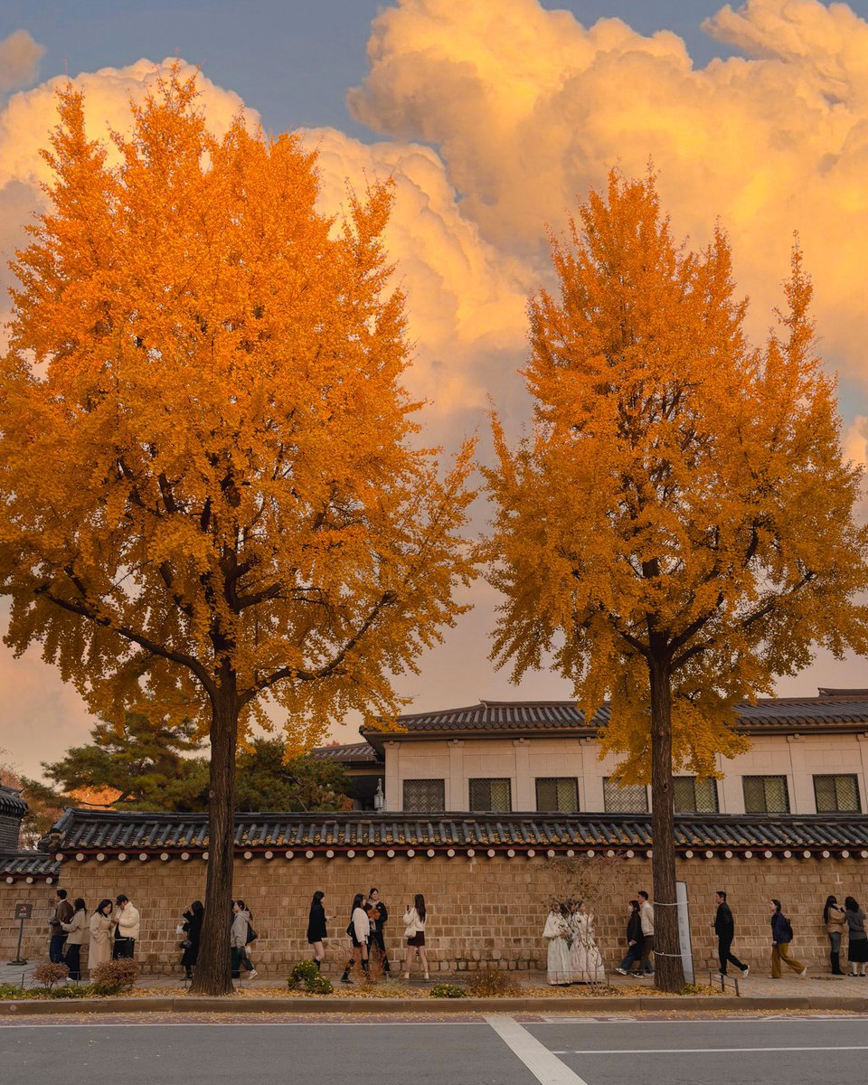 hello dongwon tweet media