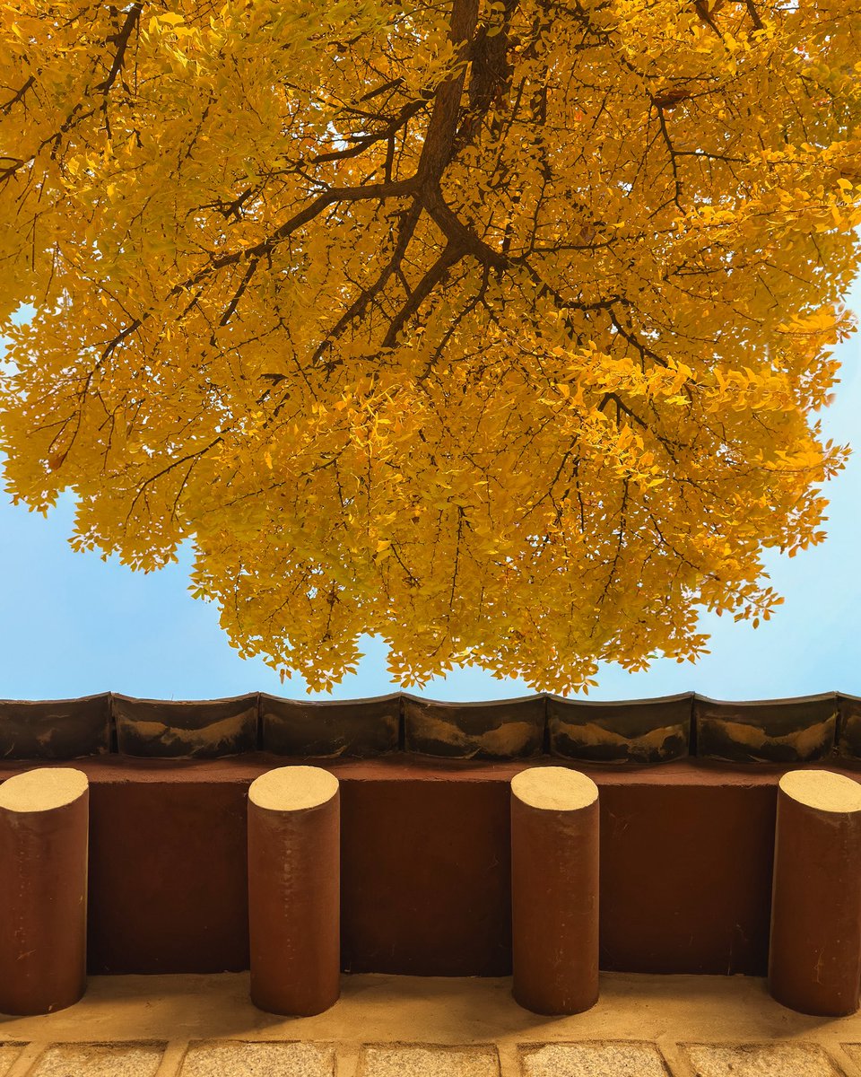 hello dongwon tweet media