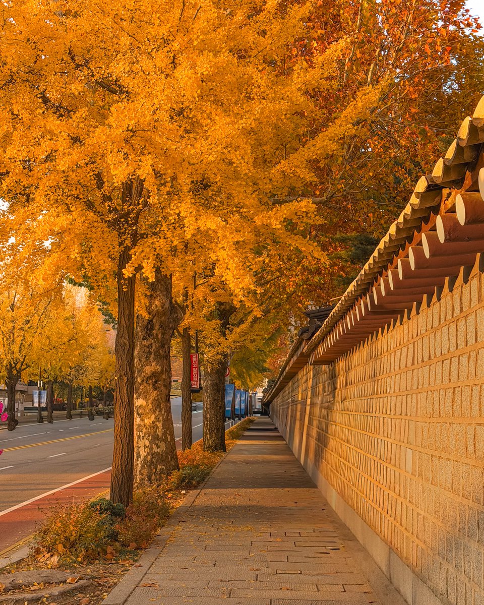 hello dongwon tweet media