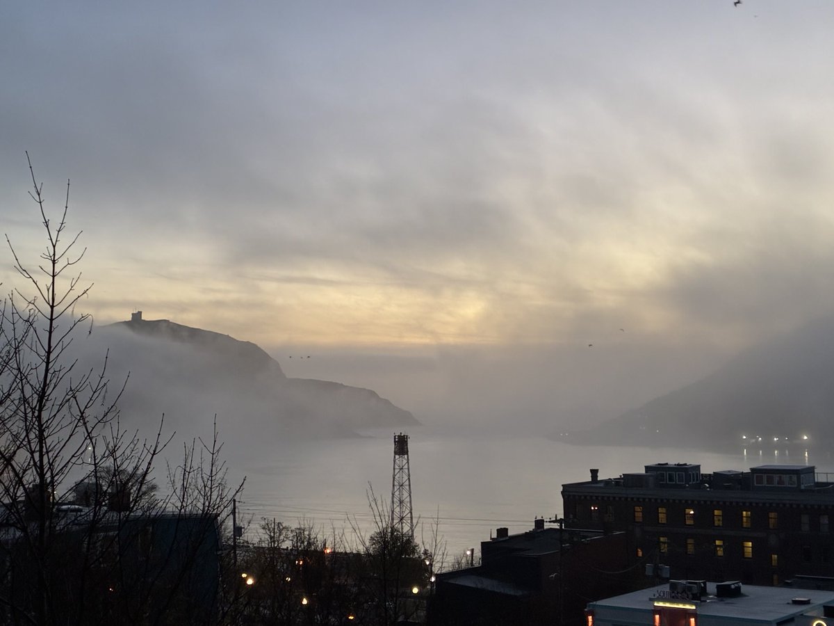 Francesca Swann tweet media