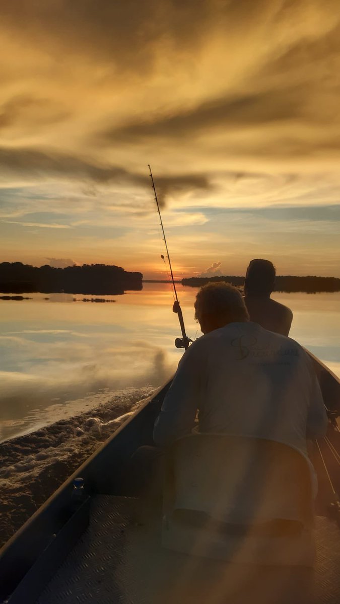 sinhamoco's tweet image. 