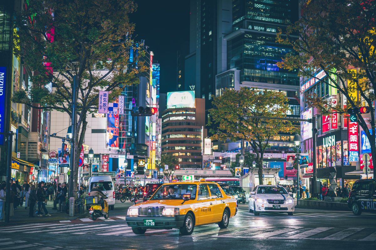 Semashi📸 tweet media