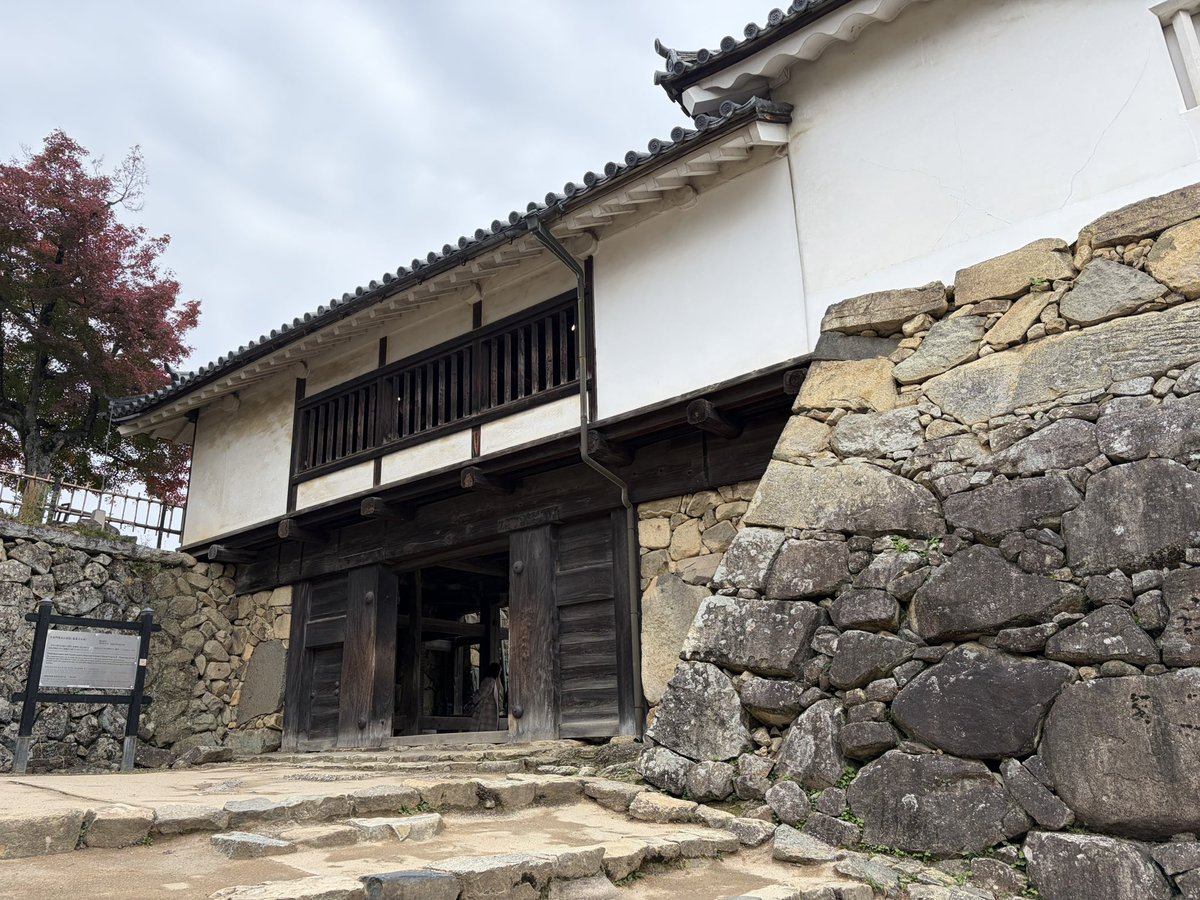 彦根城。 残念ながら、タイミング的にひこにゃんには会えず。