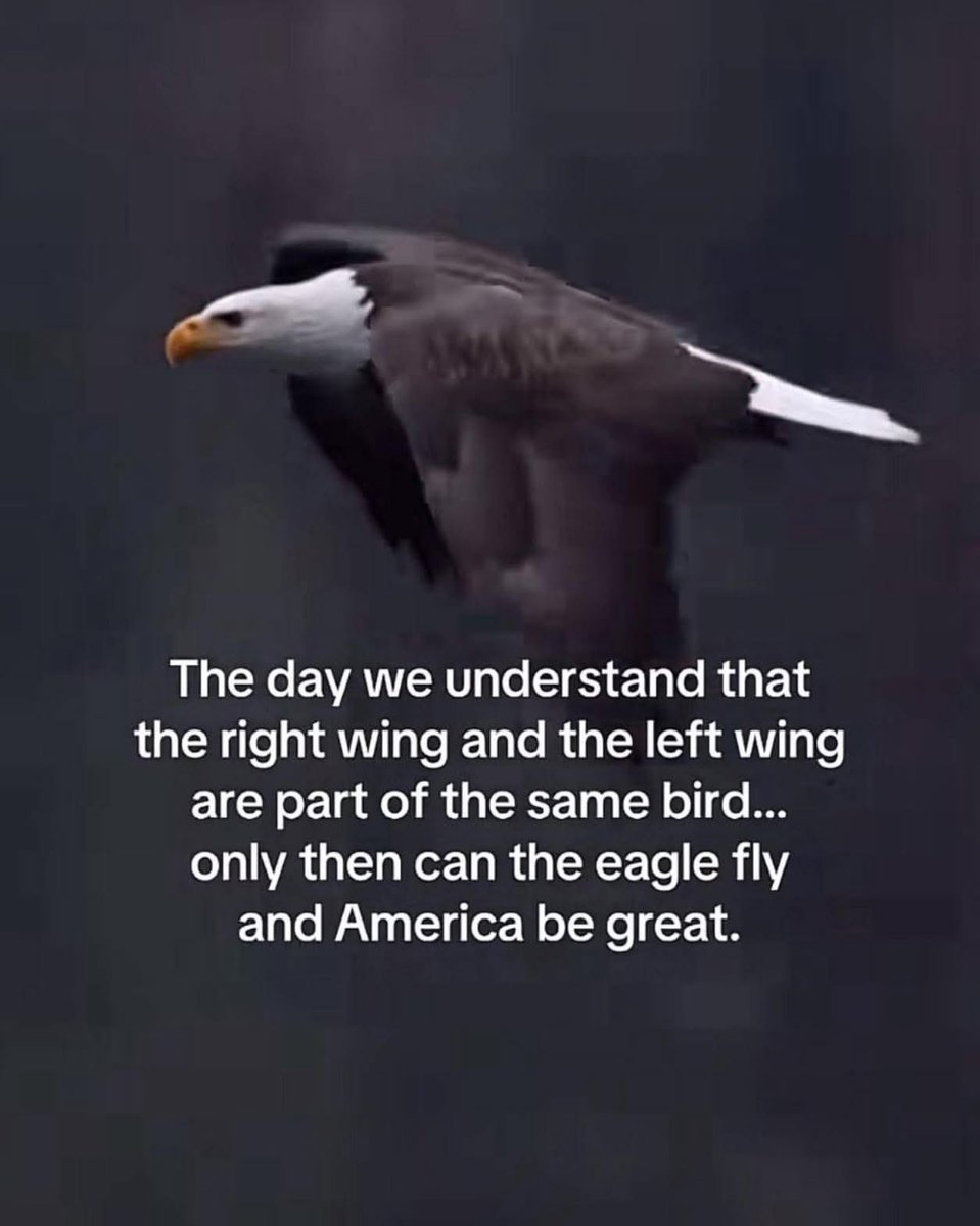 Well fellow hippies✌️
I’m out of here for a while. Until both sides figure this out, we’re never going to get anywhere.  Imagine what we could achieve if both sides came together for the good of America and Americans. I still have hope that I’ll see it one day.
🐝A Great Day✌️