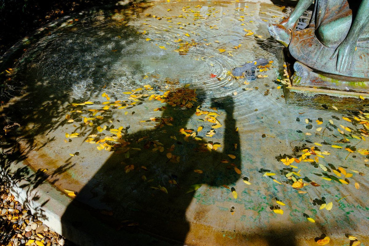 devisu_art's tweet image. La rue, la suite 📸