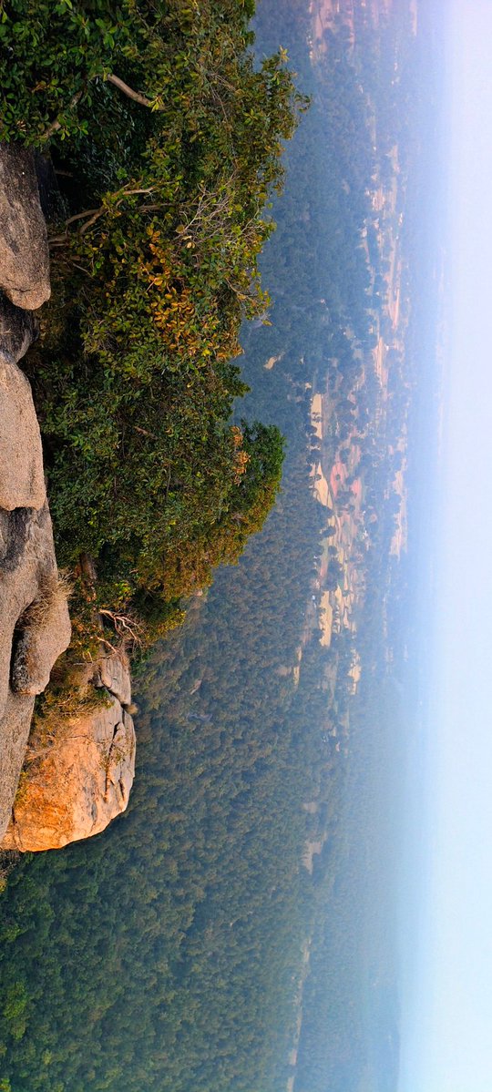 itzchampak's tweet image. ସଞ୍ଜ ଆସେ ନଇଁ ନଇଁ...🧡

Sunset in Jharkhand! 🌄🔥