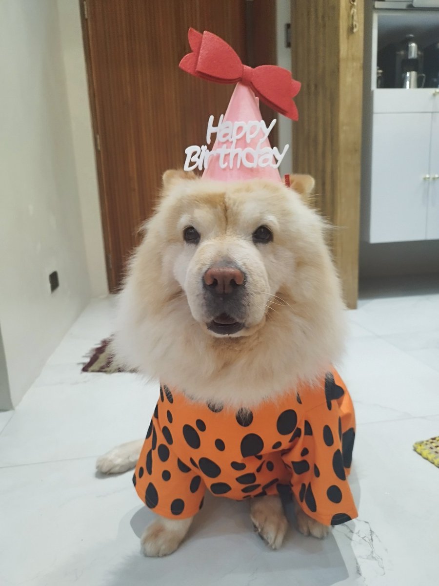Mochi turns 6 today!! 🥳🎉🎂