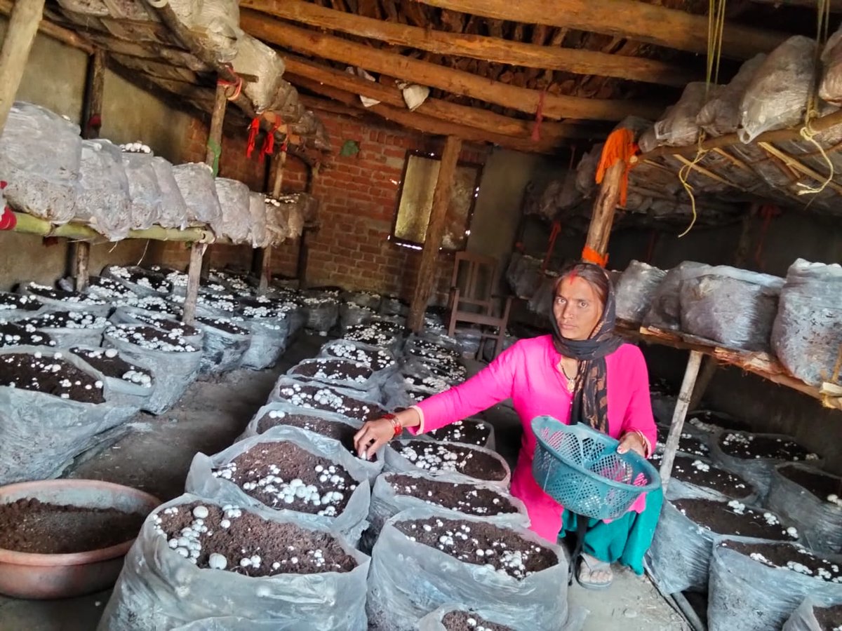 info_pnp's tweet photo. Padma and Neetu turned small agri ventures into thriving enterprises, inspiring rural women.
Through PnP’s training, 505 women now lead sustainable livelihoods with dignity and resilience.
#WomenEmpowerment #RuralDevelopment #Pnp @info_pnp NareshChaudhary GauravKaushik https://t.co/eKeXbv2xSQ