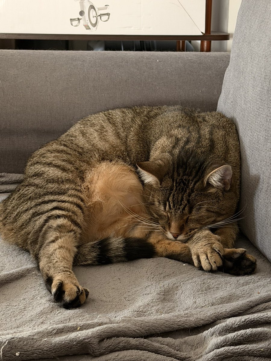 Alex’ito #Ferto 🇬🇷 tweet media