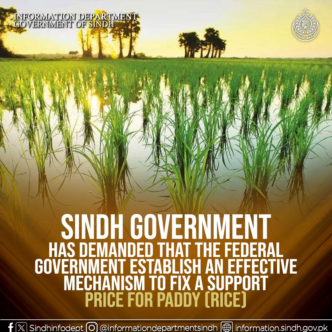 AmaimaIK's tweet image. The Sindh government has demanded that the federal government establish an effective mechanism to fix a support price for paddy (rice), similar to that for wheat, so that farmers can receive fair compensation for their hard work.